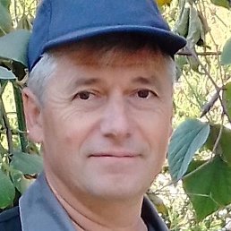 ����, ���������, 53 ����