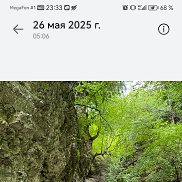 , 50 , --