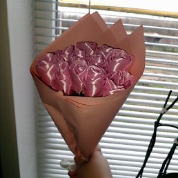 ���� �������, ��������, 37 ��� - ��������� 23 ������ 2026