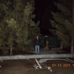 �����, 46 ���, �������