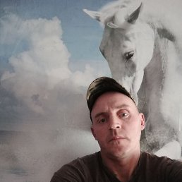 , 42, 