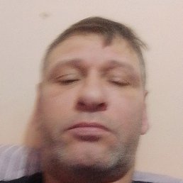 ����, �����, 46 ���