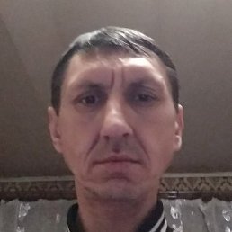 �����, �����������, 49 ���