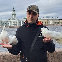 ������, �����, 39 ���