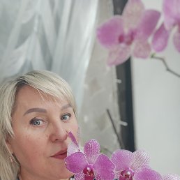 , 53, 