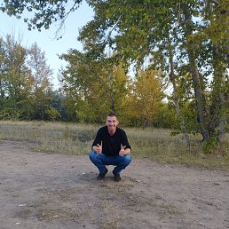 , 31 , 