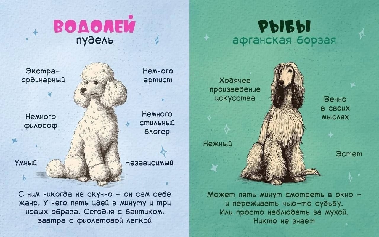   ? - 5