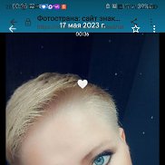 ������, 43 ����, ������