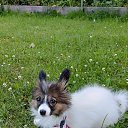 ���� ��������, ������, 50 ��� - ��������� 24 ���� 2024 � ������ ���� ����������