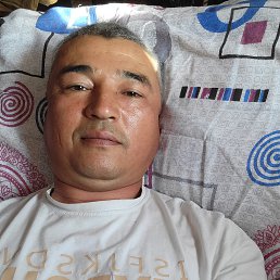 , 44, 