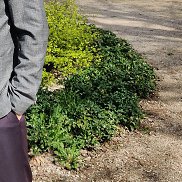 Adam, 56 ���, �������