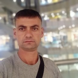 , 32, 