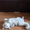 ���� ���� �, ����������, 54 ���� - ��������� 1 �������� 2024 � ������ ���� ������� !!!�