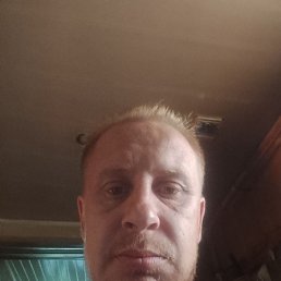 ����, 42 ����, ����