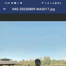  , , 54  -  18  2024