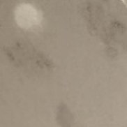 ��������, 28 ���, ������