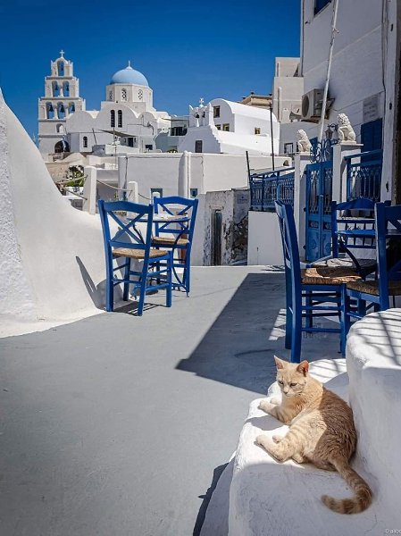 ������ �� ��������� ����� ���� ������ ����� - 7