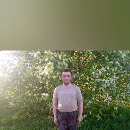 ����, 38 ���, ������