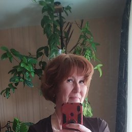 , 59, 