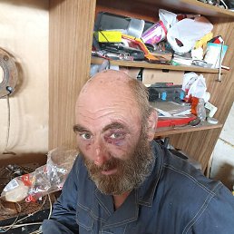 ������, ������, 41 ���