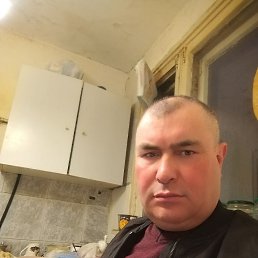 ����, 51 ���, ����