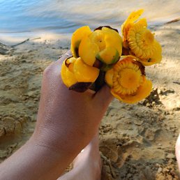 �����, ������, 60 ���