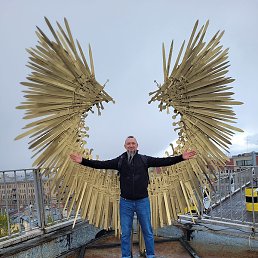 �, ������������, 41 ���