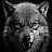 ���� Wolf, ������, 53 ���� - ��������� 22 ������ 2025
