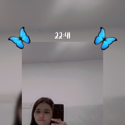 , 17, 