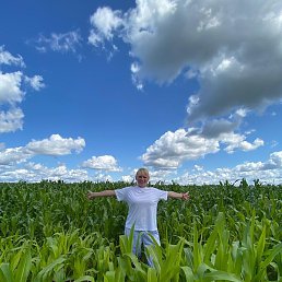 �����, ����, 49 ���