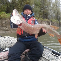 Vadim, 46 , 