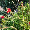 ���� Iga, ������� - ��������� 24 ������ 2024 � ������ �������,��������...�