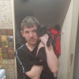 , 34, 