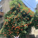 ���� �������, �������������, 58 ��� - ��������� 26 ������� 2025 � ������ ���� ����������