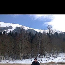 ������, ���������, 46 ���