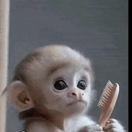 ���� ������, ������, 54 ���� - ��������� 27 ��� 2026