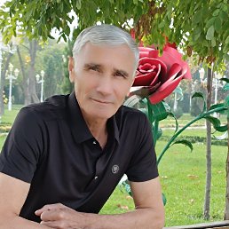 , 65, 