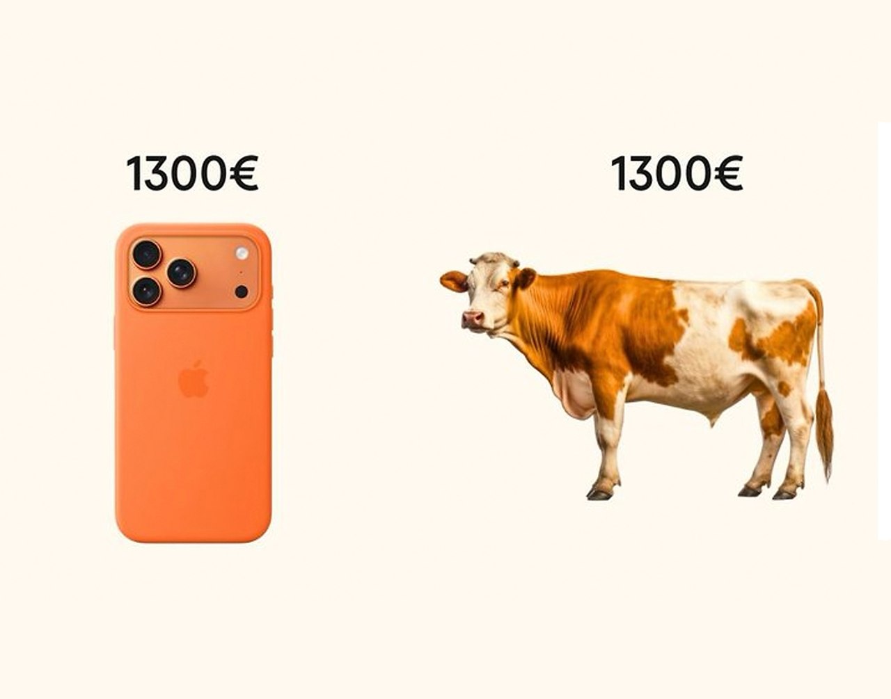 JPG - 14  2025  13:21