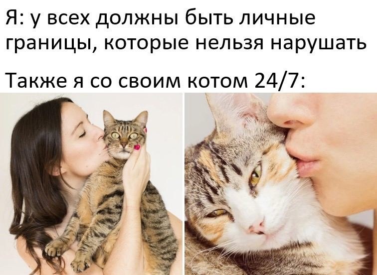    - 3  2024  00:33
