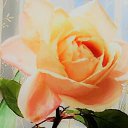 ���� �������, ������, 44 ���� - ��������� 13 ������ 2024 � ������ ���� ����������