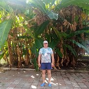 , 57 , 