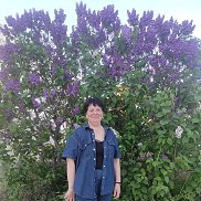 �������, 51 ���, ����