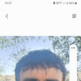 , 39, 