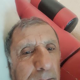 , 65, 