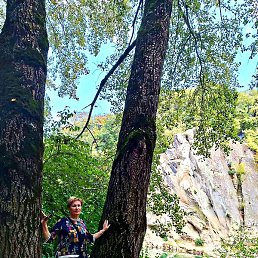 ����, ���������, 59 ���