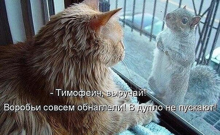 ? ,  ! - 29  2025  04:31