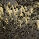  🫡 , , 46  -  8  2025   