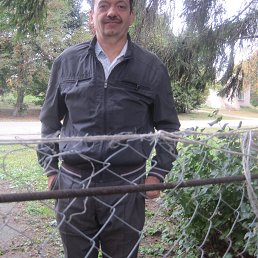 , 61, 