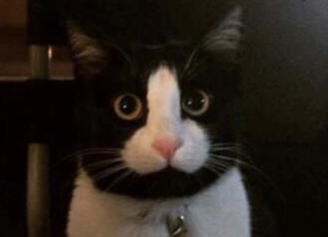 Лучше уж с сердечком на лбу - 3