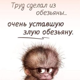 ����� ������, �������, 57 ���